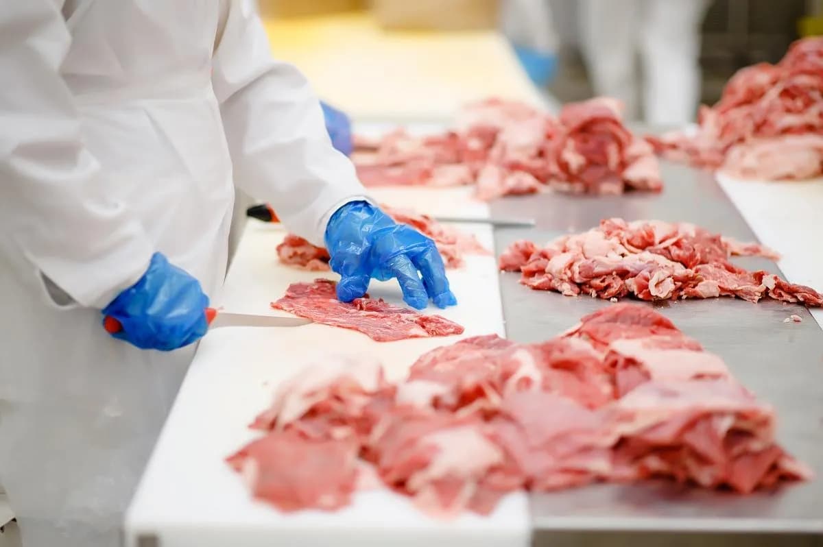 Rodzaje mięsa w kebabie: Jak rozpoznać jakość i unikać 'kuli mocy'?