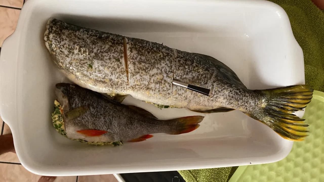 Soczysty szczupak z grilla: Twój przewodnik po mistrzowskim daniu