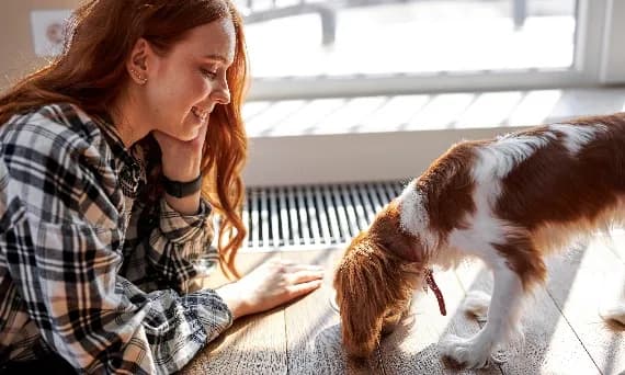 Frytki dla psa? Nigdy! Ekspert ostrzega: co grozi pupilowi?